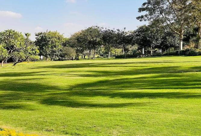 8209362 - صورة العقار 3