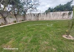 Land for للبيع in Zakzouk St. - King Mariout - Hay Al Amereyah - Alexandria