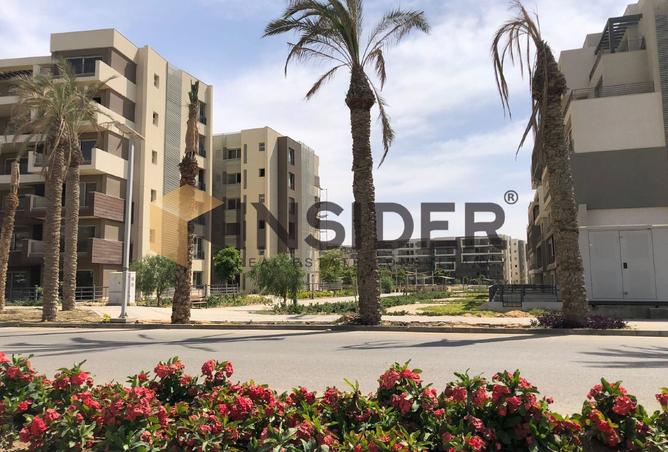 8080021 - صورة العقار 3