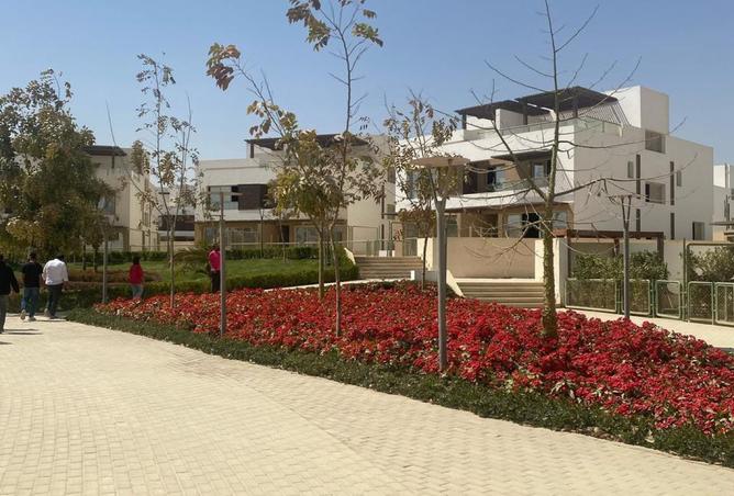 8215157 - صورة العقار 2