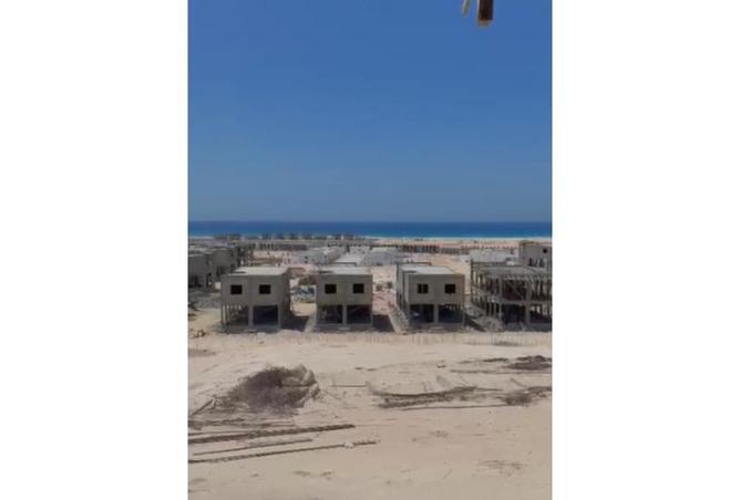 8177571 - Property Image 3