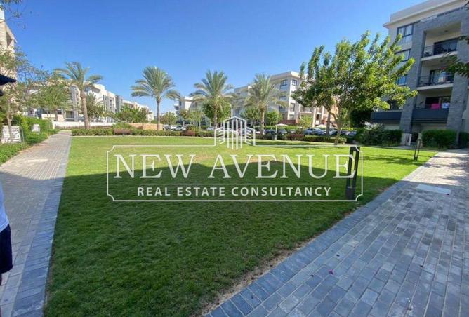 8398160 - Property Image 3