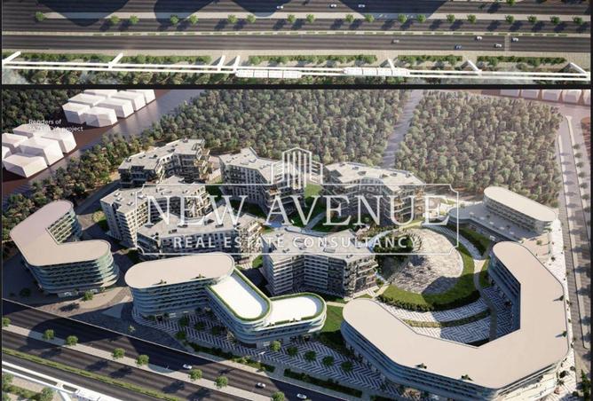 8175332 - Property Image 2