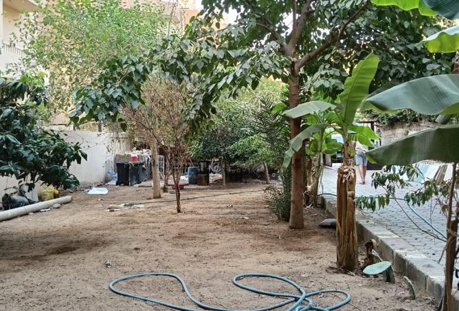 8379145 - Property Image 3