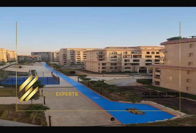 8350435 - Property Image 3