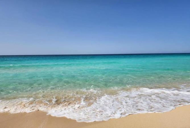 7929687 - صورة العقار 2