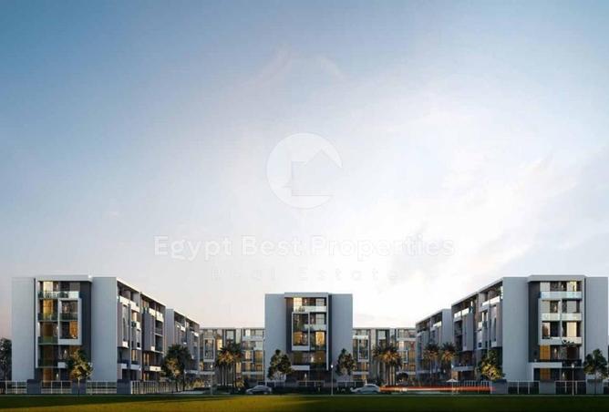 8325824 - Property Image 3