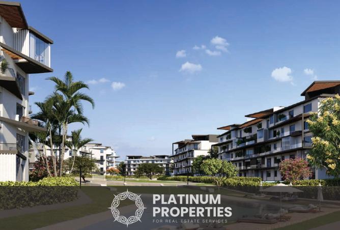 8437743 - Property Image 3