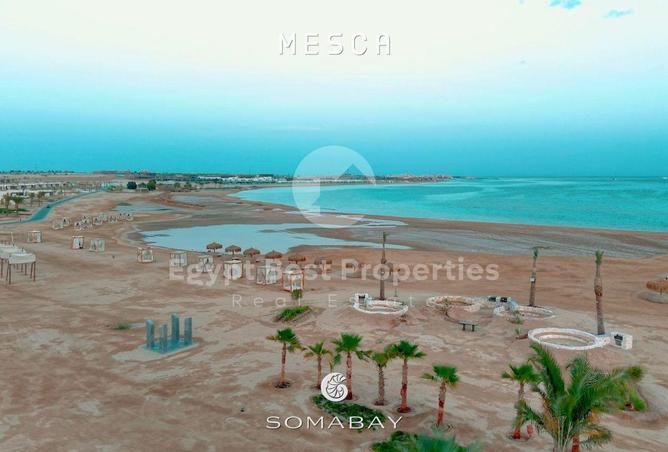 8566825 - صورة العقار 2