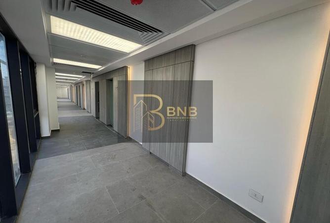 7981500 - Property Image 3