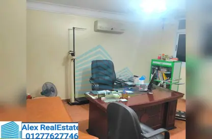 Office Space - Studio - 1 Bathroom for rent in Omar Lotfy St. - Ibrahimia - Hay Wasat - Alexandria