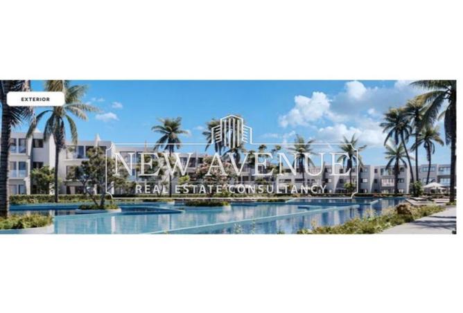 8219980 - Property Image 2