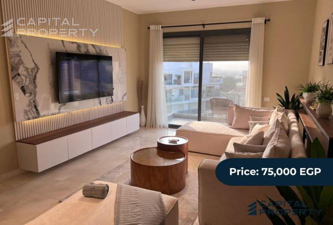 8248692 - Property Image 2