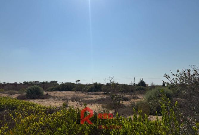 8301982 - Property Image 3