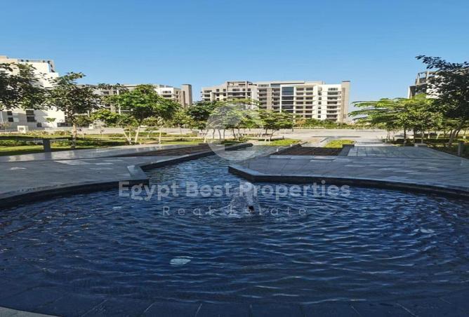 7925882 - Property Image 3