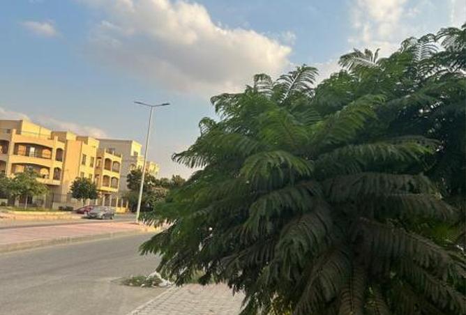 8158441 - صورة العقار 2