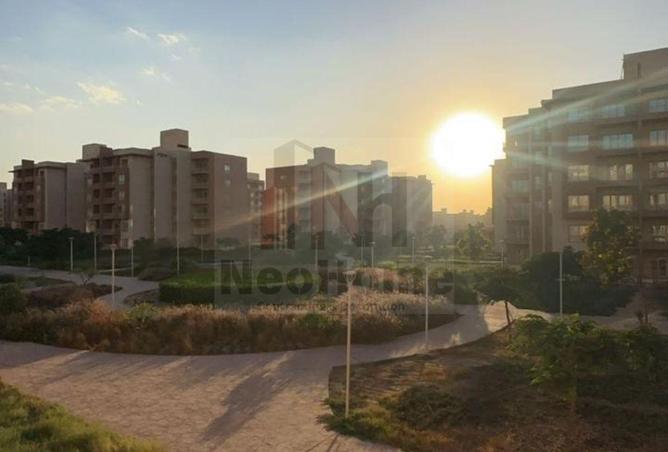 8506347 - صورة العقار 3