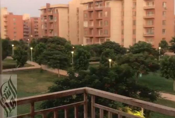 8293186 - Property Image 3