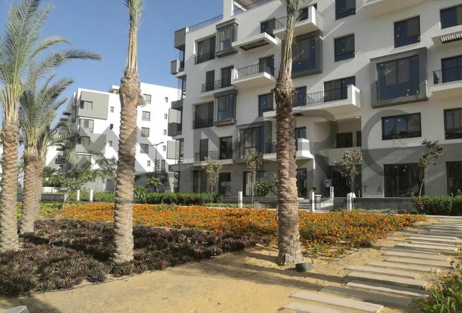 8269505 - Property Image 3