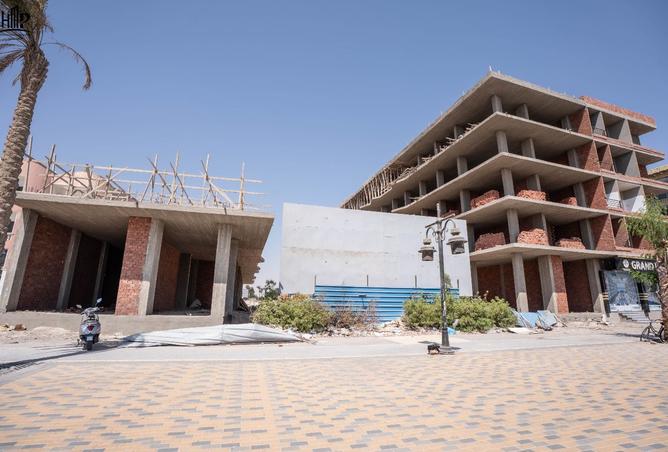 8339095 - Property Image 3