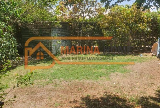 7956564 - صورة العقار 3