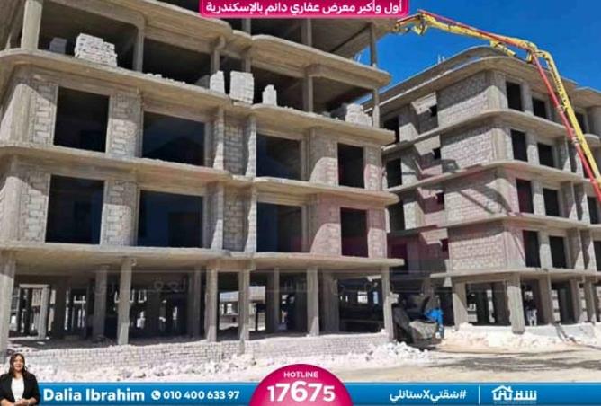 8278872 - Property Image 3