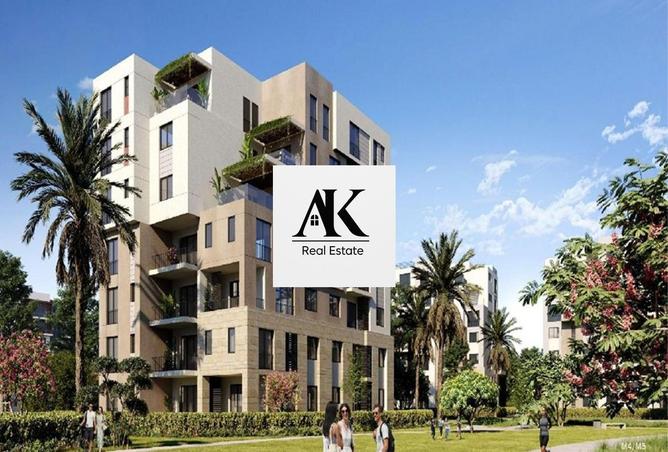 8057308 - Property Image 3