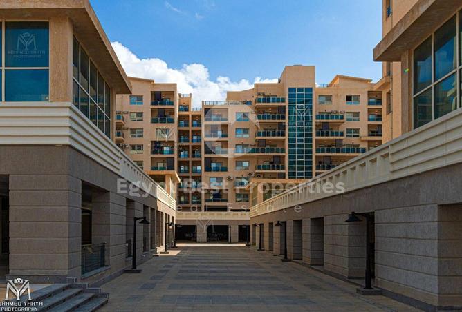 7891862 - صورة العقار 3