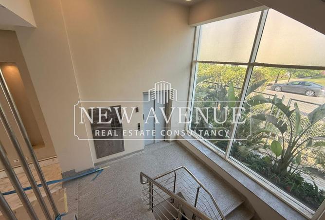 8110037 - Property Image 3