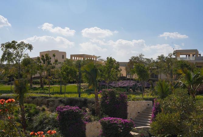 8397991 - صورة العقار 3