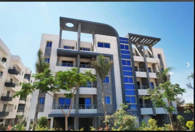 8223097 - Property Image 3