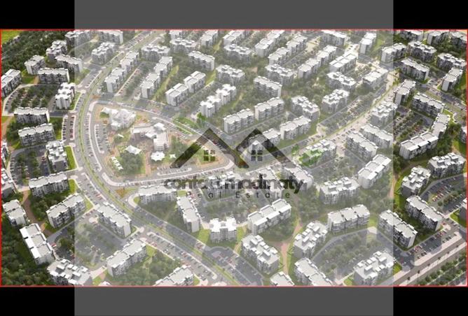 8266288 - Property Image 3