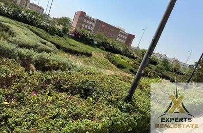 Apartment - 4 Bedrooms - 3 Bathrooms for sale in Privado - Madinaty - Cairo