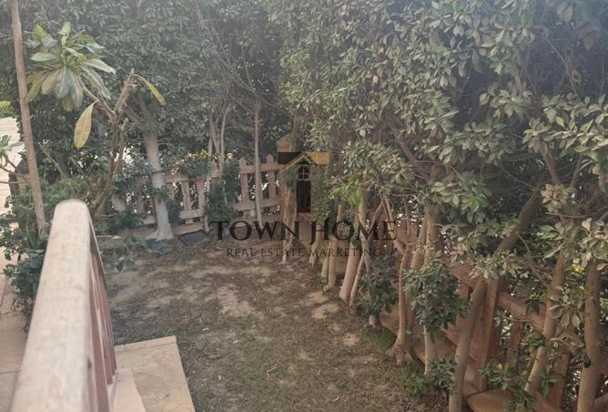 8100353 - صورة العقار 3
