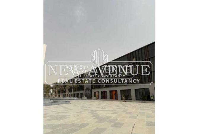 8263992 - Property Image 2