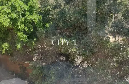 Apartment - Studio - 1 Bathroom for rent in Sarayat Al Maadi - Hay El Maadi - Cairo