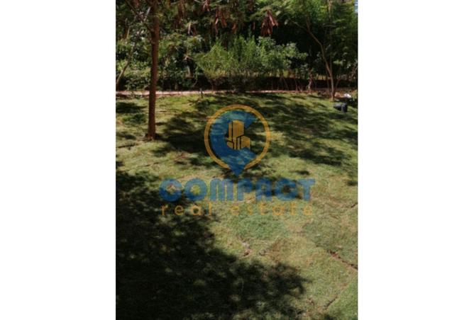 6725779 - صورة العقار 2
