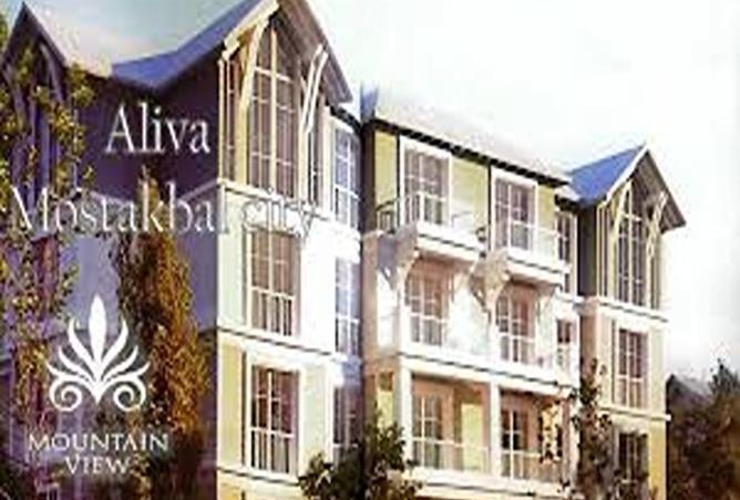 8267367 - Property Image 3