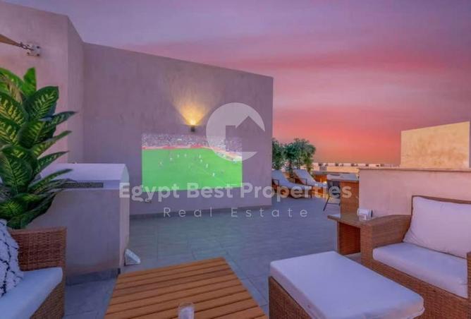8050918 - Property Image 3