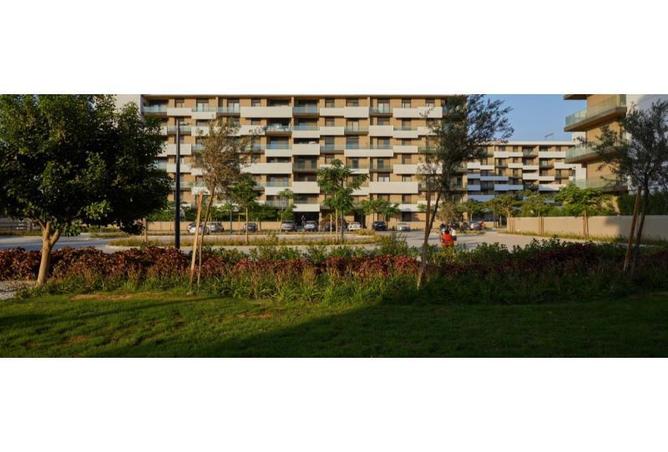 8253477 - صورة العقار 3