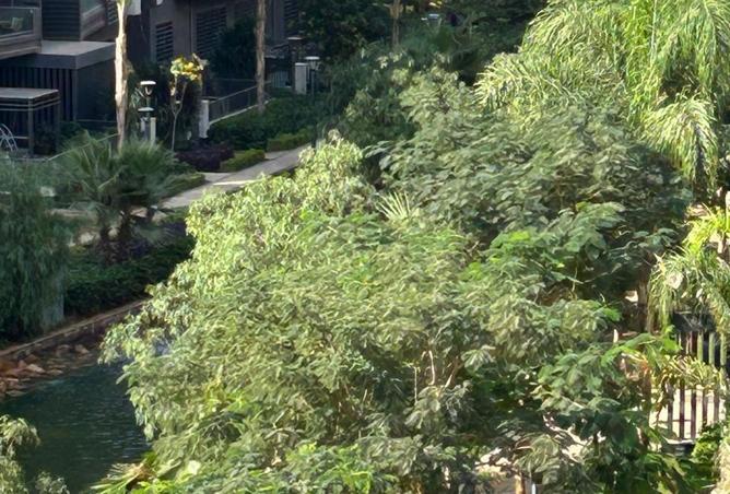 8250410 - Property Image 3