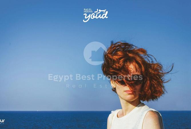 7892646 - Property Image 3