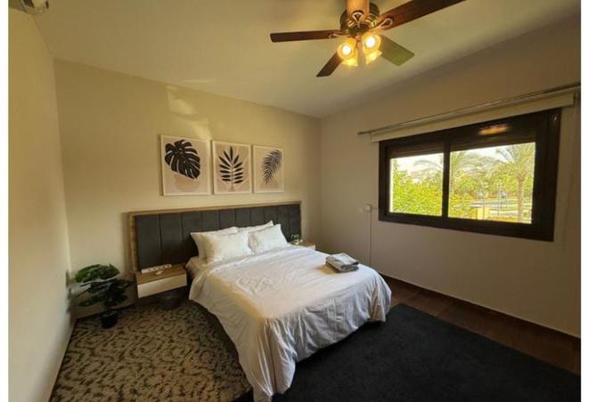 8423537 - الصورة الرئيسية للعقار