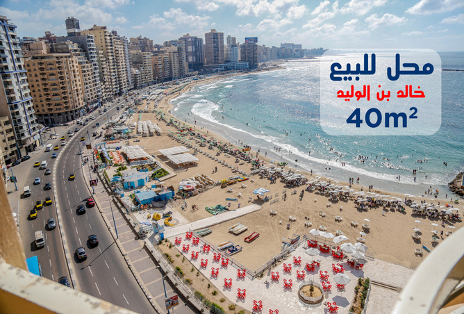 صور رغم استقبالها 5 ملايين وافد ومصيف سنويا الإسكندرية تقضى على الزحام المرورى فى المحاور الرئيسية تطوير 6 محاور مرورية ينهى الأزمة والمحافظ جارى الانتهاء من محور المحمودية اليوم السابع