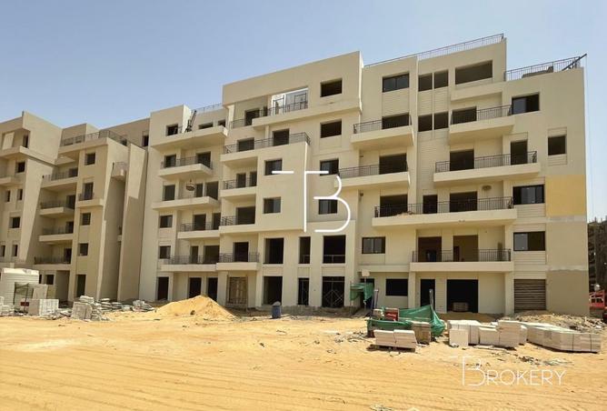 8425826 - Property Image 3