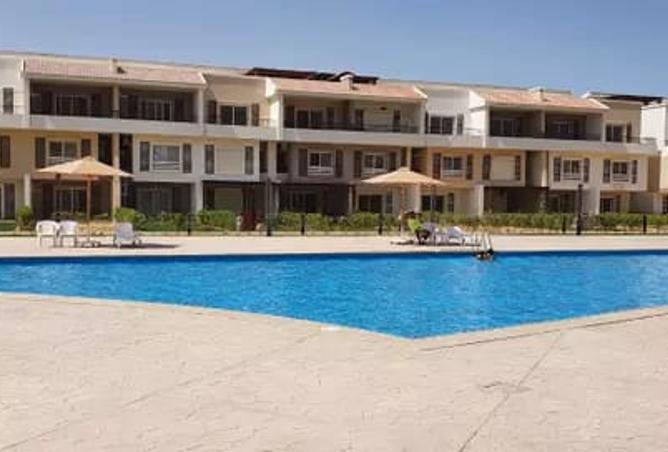 7979404 - Property Image 3