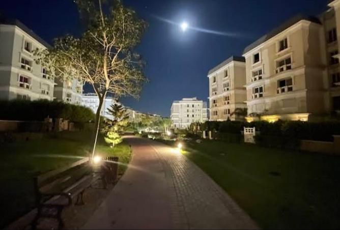 8227330 - صورة العقار 3