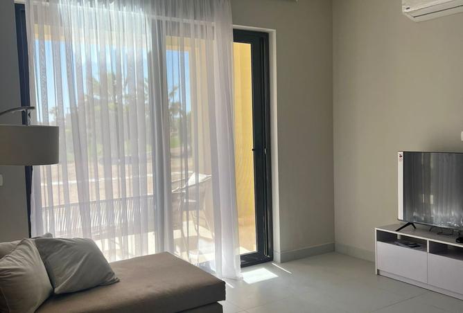 8384479 - Property Image 3