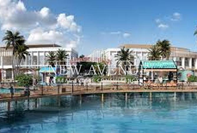 8236275 - Property Image 3