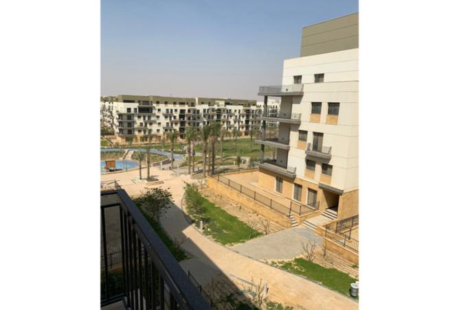 8174662 - Property Image 3